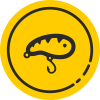 Category image